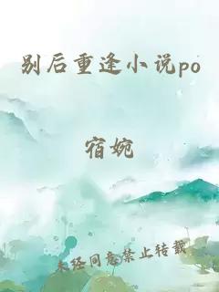 别后重逢小说po