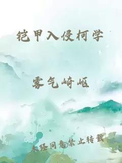 铠甲入侵柯学