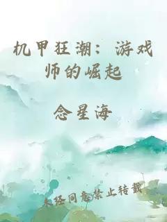 机甲狂潮：游戏师的崛起